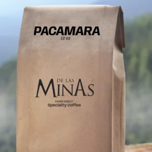 Pacamara varietal specialty coffee bag from Finca Peña Blanca, Sierra de las Minas.